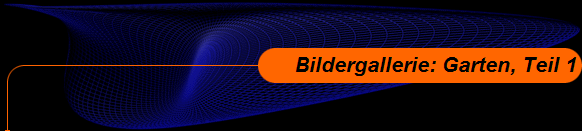 Bildergallerie: Garten, Teil 1